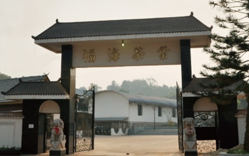 勐海县福海茶厂 Menghai County Fuhai Tea Factory